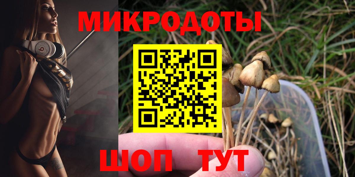 Псилоцибиновые грибы MAGIC MUSHROOMS Кинешма